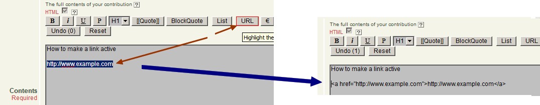 Fig 10.4: Using URL button to generate a link from highlighted text